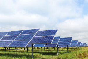 Green Garden Residents Seek Frankfort’s Support in Opposing 6,000-Acre Solar Farm