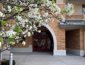 Library Approves $14,700 for Reading Room Architectural Services