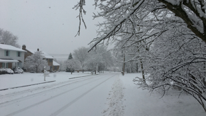 Winter storm to cause widespread disruption, states of emergency