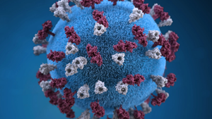 Measles spreads across some Southwestern states