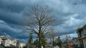 Illinois Quick Hits: Storms cause damage, closures