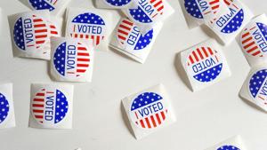 Census Bureau plans 2030 count as 2020 lawsuit continues