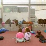 A year after deadly floods: Foundation launches national parent pledge campaign