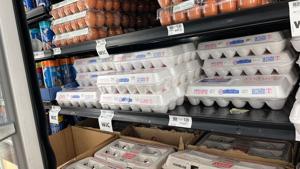 DOJ, states could secure 53 million eggs in price manipulation settlement