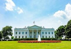 America 250: Celebrating presidential pets