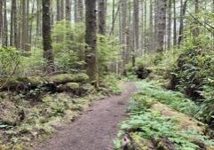 New park fee for foreign tourists could generate hundreds of millions