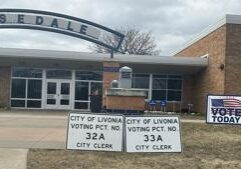 Democrats hold Michigan Senate majority with special election win in District 35