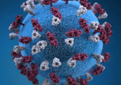 Measles spreads across some Southwestern states