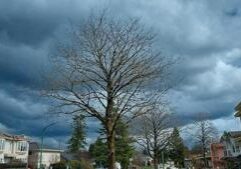 Illinois Quick Hits: Tornado kills 2 in Jefferson County
