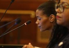 Illinois lawmakers give raises to diversity commissioners they criticized