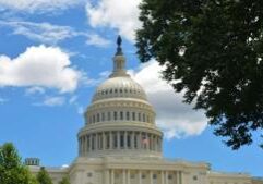 Fed funding of pediatrics group questioned over its gender ideology stance