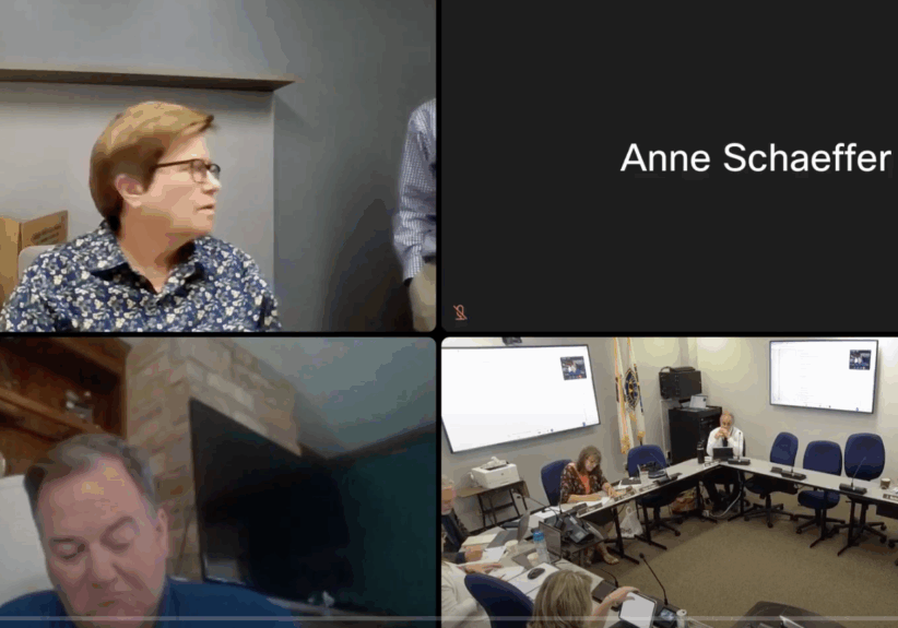 Will-County-Legislative-Committee-Meeting-July-1-2025